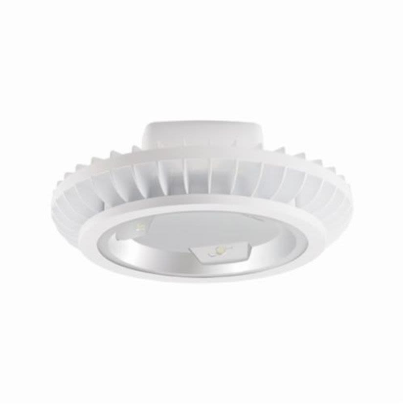 RAB BAYLED78NW High Bay Fixture With Hook and Cord, LED Lamp, 89 W Fixture, 120/208/240/277 VAC, White Housing
